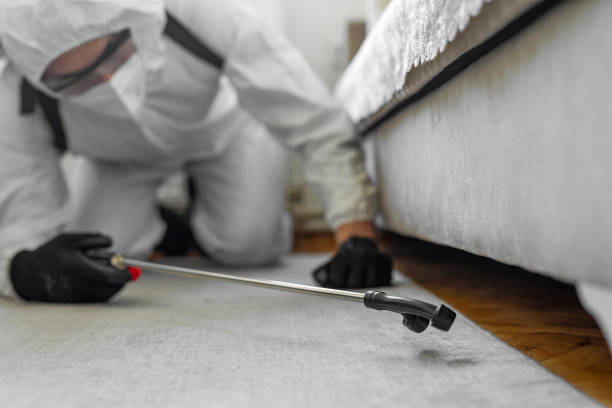 Professional Ant Control technician working in Riverside, IL